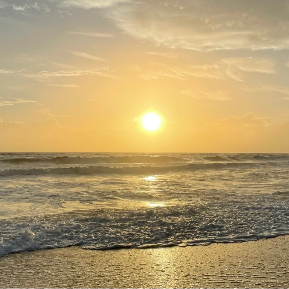 Meet your Posher, Isabella